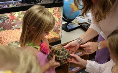 “What’s Being Learned Here?”: The Class Pets Project